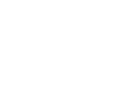 Nike Badge
